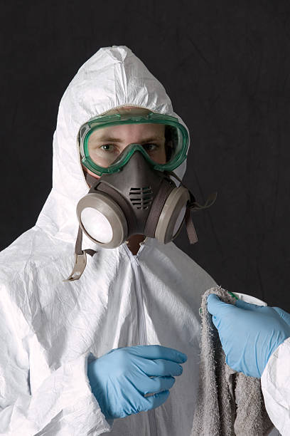 Asbestos and Lead Testing During Mold Inspection in Irving, TX